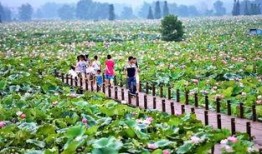 莲花县最新爆料,揭秘当地发展新动态与民生亮点